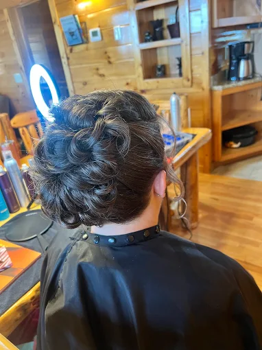 Polished brunette updo